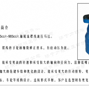 BMH系列并列油口完美网-完美网(中国)
马达